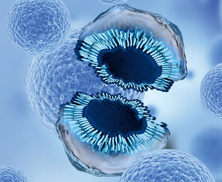 Exosomes