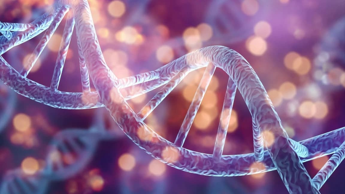 Cell-based therapy