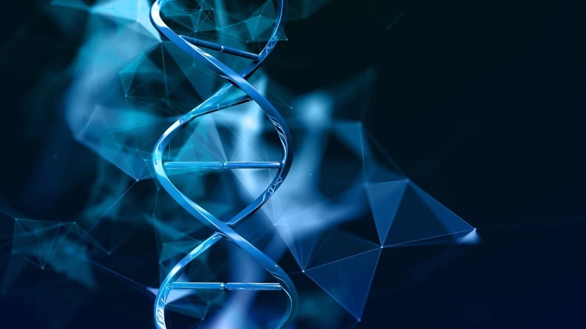 DNA Test & Epigenetic Test